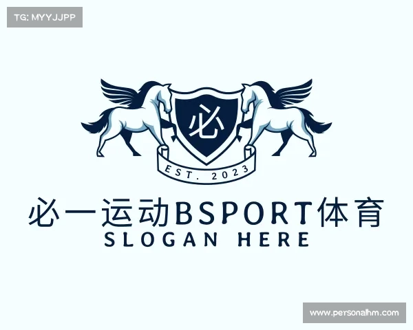 介绍必一·体育(b-sports)